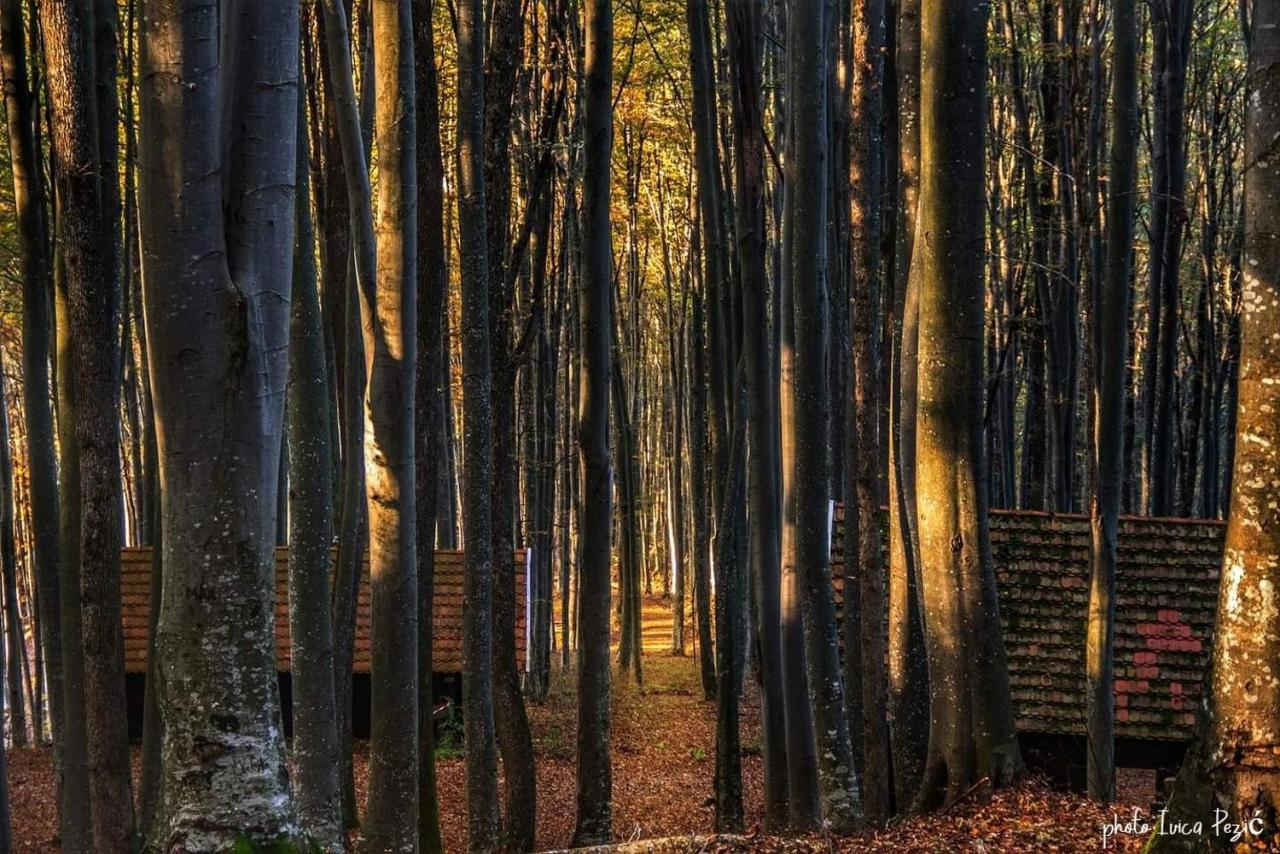 Ruralna Kuca Za Odmor Kablarovo Brdo Pension Krnjak Buitenkant foto