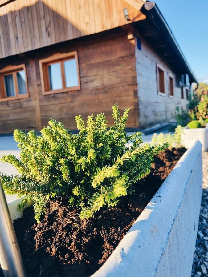 Ruralna Kuca Za Odmor Kablarovo Brdo Pension Krnjak Buitenkant foto